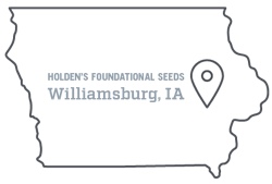 Holden's foundational seeds in Williamsburg, Iowa